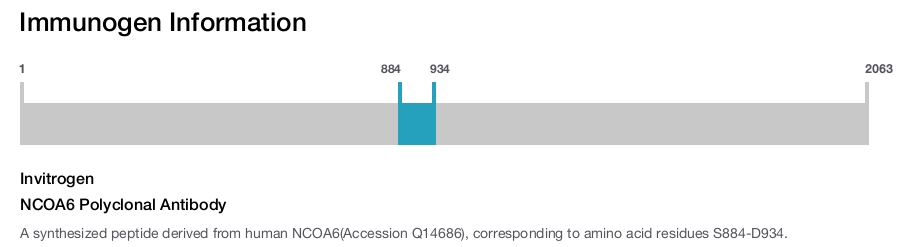 NCOA6 Polyclonal Antibody