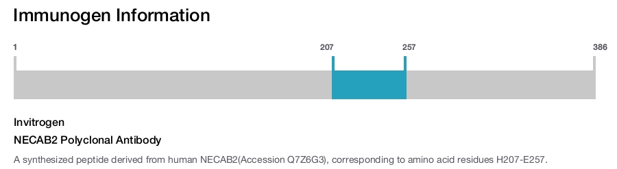 NECAB2 Polyclonal Antibody