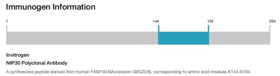 NIP30 Polyclonal Antibody