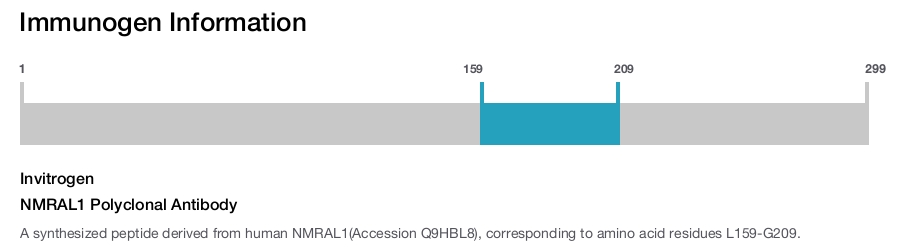 NMRAL1 Polyclonal Antibody
