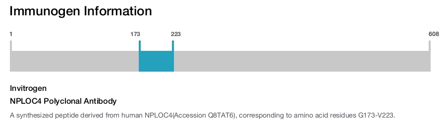 NPLOC4 Polyclonal Antibody