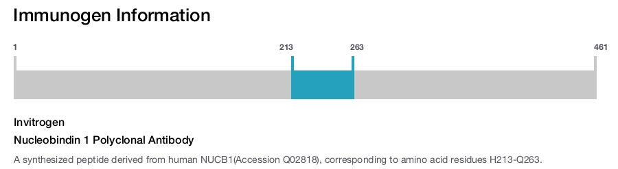 Nucleobindin 1 Polyclonal Antibody
