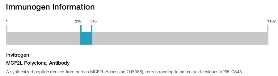 MCF2L Polyclonal Antibody