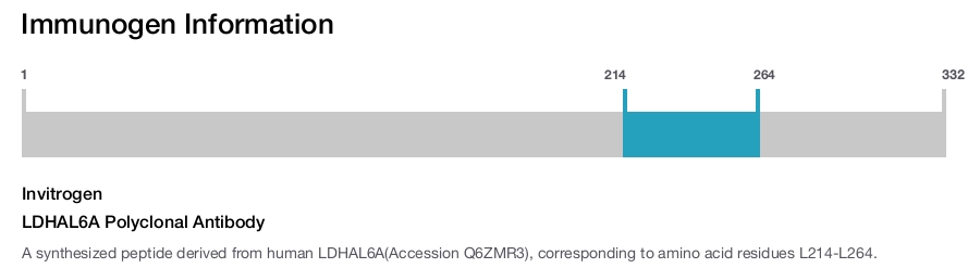 LDHAL6A Polyclonal Antibody