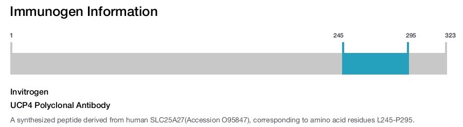 UCP4 Polyclonal Antibody