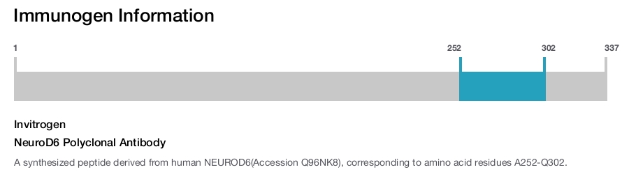 NeuroD6 Polyclonal Antibody