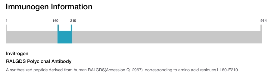 RALGDS Polyclonal Antibody