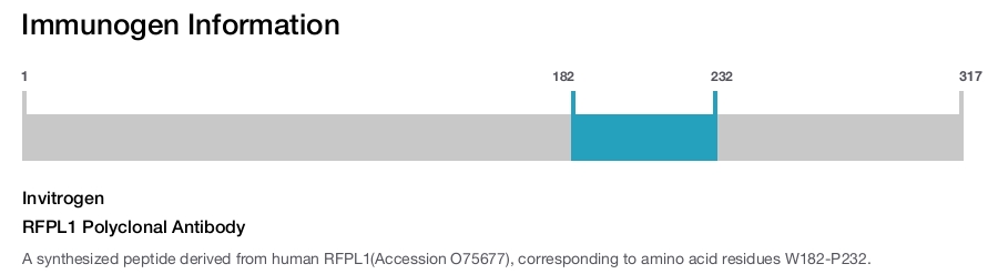 RFPL1 Polyclonal Antibody