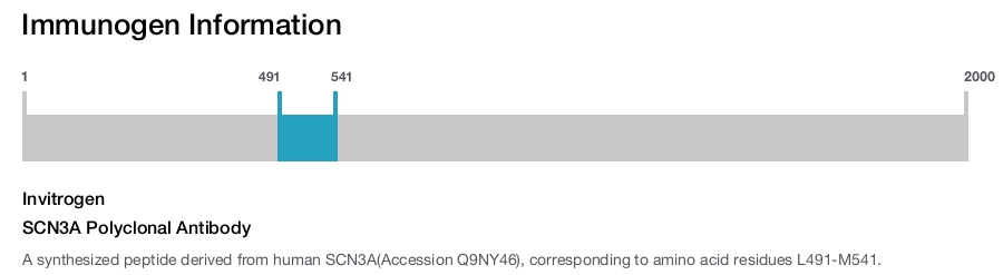 SCN3A Polyclonal Antibody