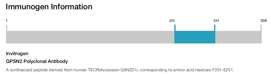 GPSN2 Polyclonal Antibody
