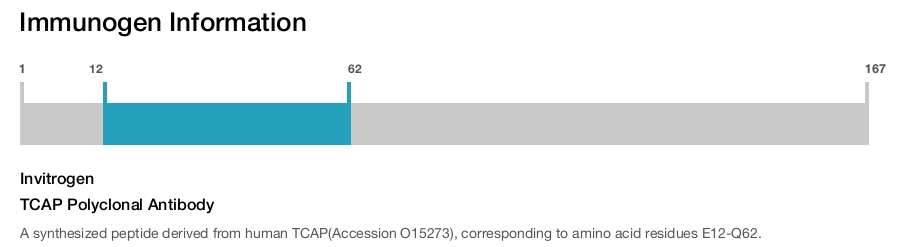 TCAP Polyclonal Antibody