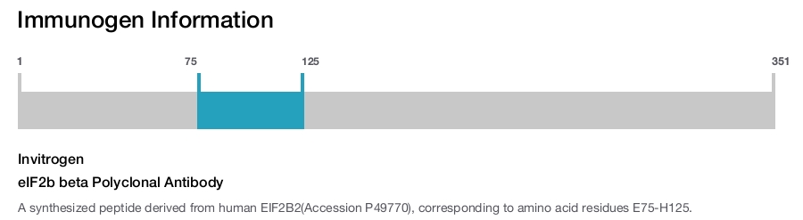 eIF2b beta Polyclonal Antibody