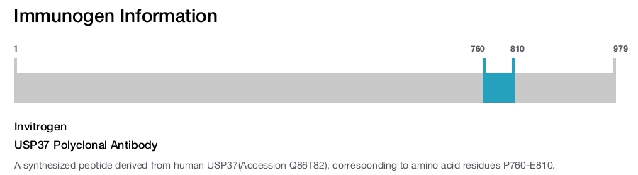 USP37 Polyclonal Antibody