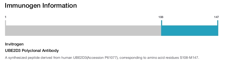 UBE2D3 Polyclonal Antibody