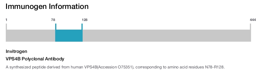 VPS4B Polyclonal Antibody