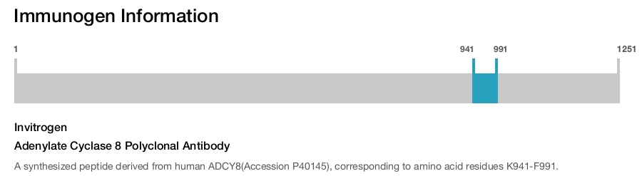 Adenylate Cyclase 8 Polyclonal Antibody