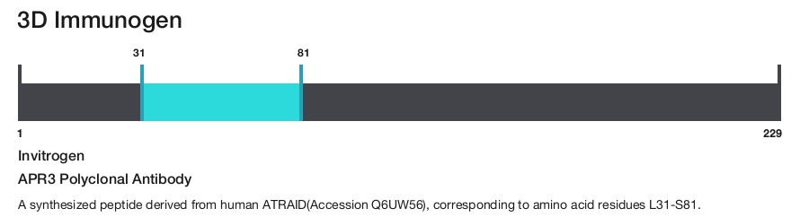 APR3 Polyclonal Antibody