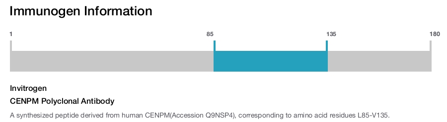 CENPM Polyclonal Antibody