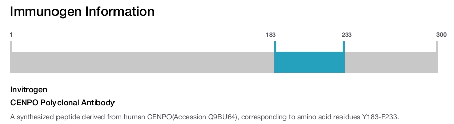 CENPO Polyclonal Antibody