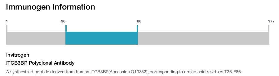 ITGB3BP Polyclonal Antibody