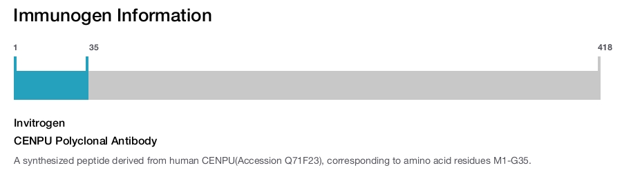 CENPU Polyclonal Antibody