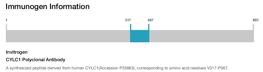 CYLC1 Polyclonal Antibody