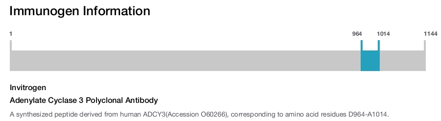 Adenylate Cyclase 3 Polyclonal Antibody