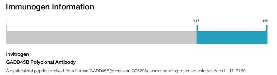 GADD45B Polyclonal Antibody