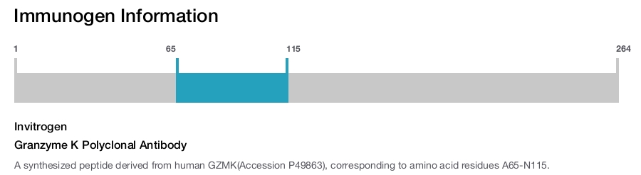 Granzyme K Polyclonal Antibody