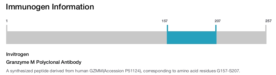 Granzyme M Polyclonal Antibody