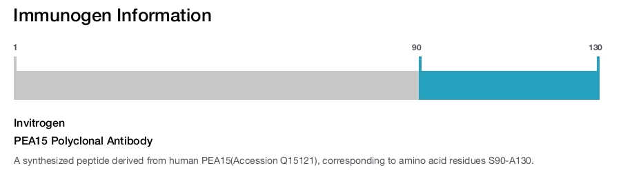 PEA15 Polyclonal Antibody