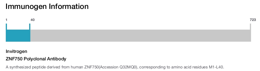 ZNF750 Polyclonal Antibody