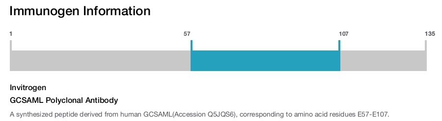 GCSAML Polyclonal Antibody