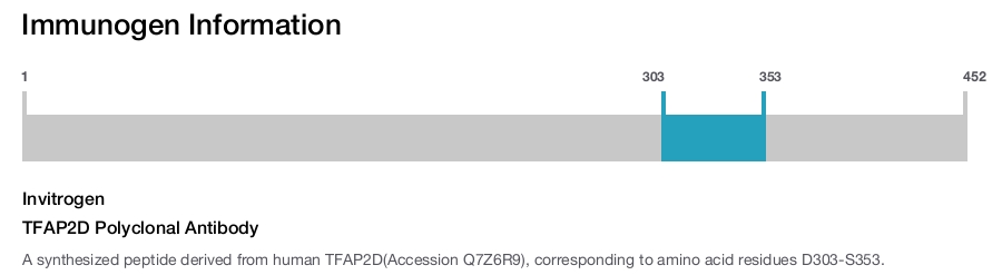 TFAP2D Polyclonal Antibody