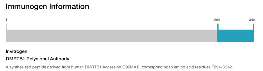 DMRTB1 Polyclonal Antibody