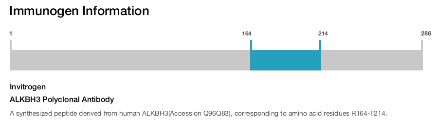 ALKBH3 Polyclonal Antibody