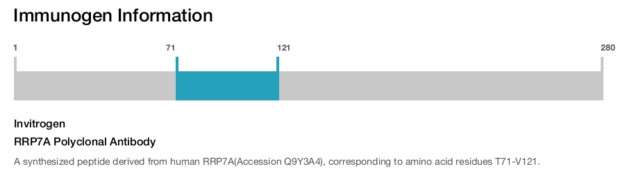 RRP7A Polyclonal Antibody