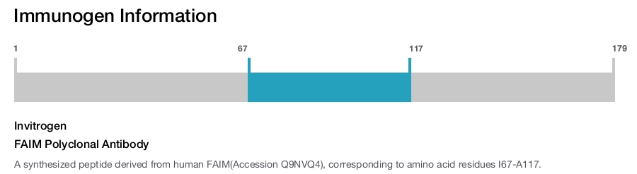 FAIM Polyclonal Antibody