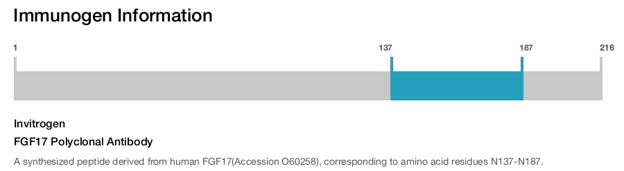 FGF17 Polyclonal Antibody