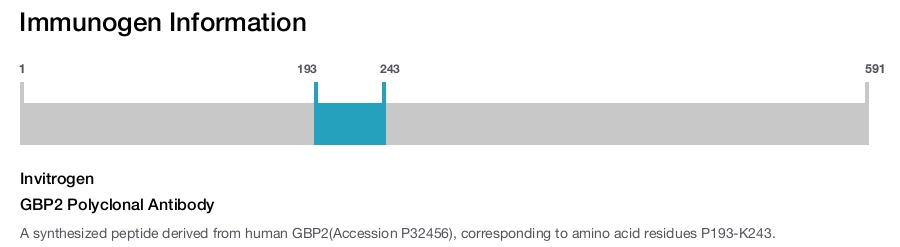 GBP2 Polyclonal Antibody
