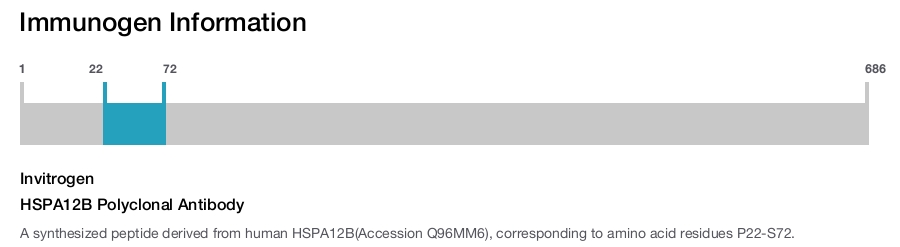 HSPA12B Polyclonal Antibody