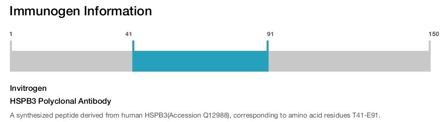 HSPB3 Polyclonal Antibody