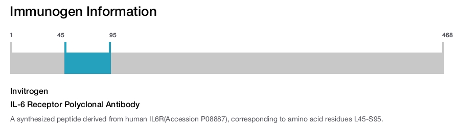 IL-6 Receptor Polyclonal Antibody