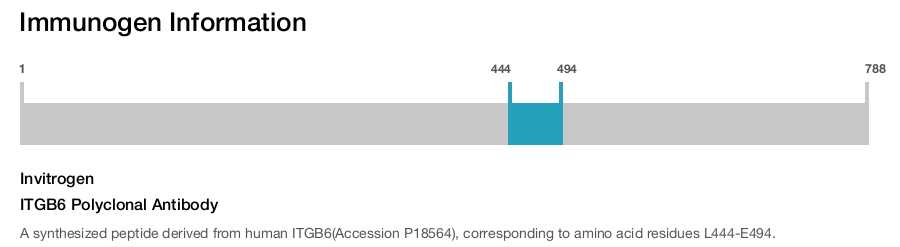 ITGB6 Polyclonal Antibody