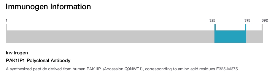 PAK1IP1 Polyclonal Antibody