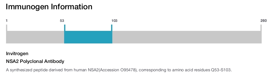 NSA2 Polyclonal Antibody