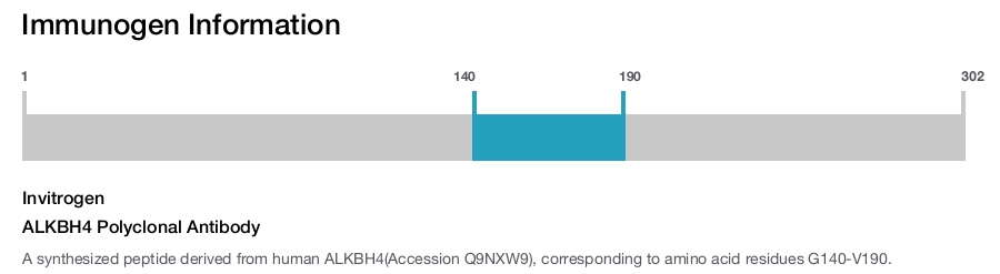 ALKBH4 Polyclonal Antibody