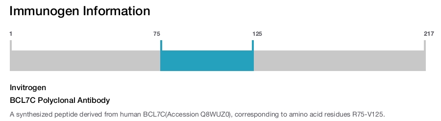 BCL7C Polyclonal Antibody