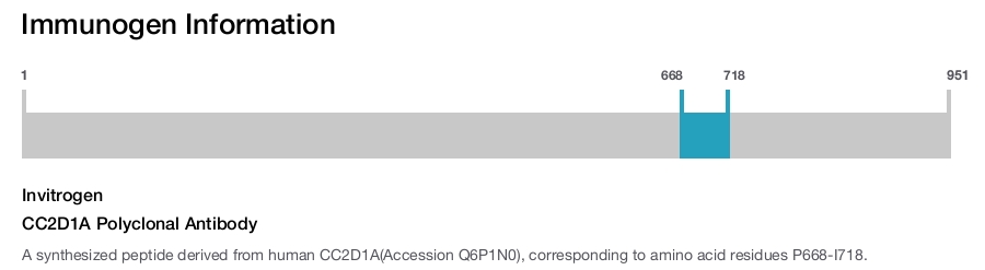 CC2D1A Polyclonal Antibody