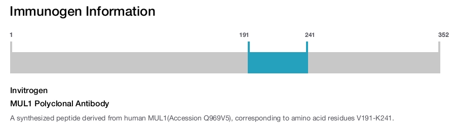 MUL1 Polyclonal Antibody
